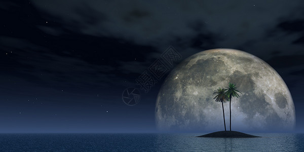 棕榈插图星星月亮天空假期海洋孤独背景图片