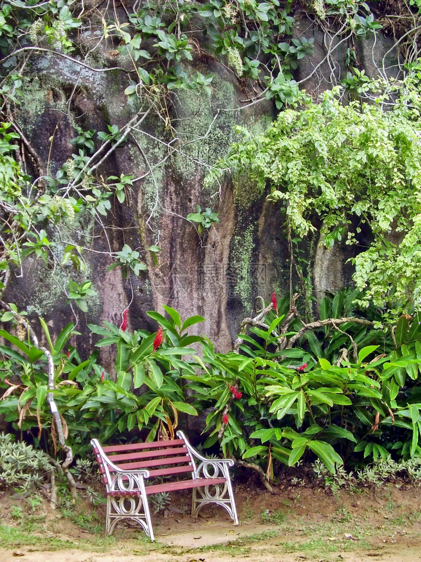 在一个花园的座椅上花朵公园放松树叶长椅座位绿色季节植物棕色图片