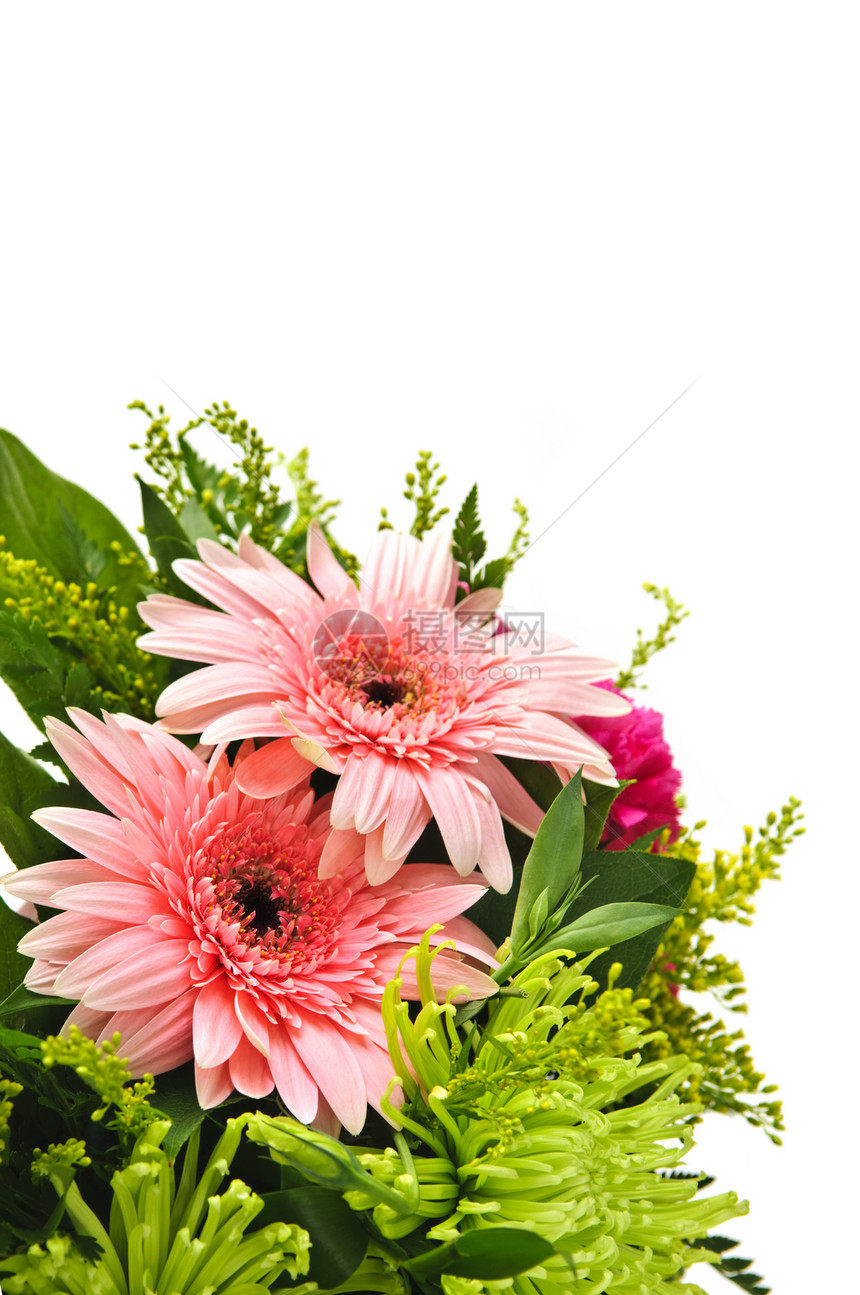 鲜花安排菊花粉色礼物绿色花朵植物学植物花艺妈妈们植物群图片