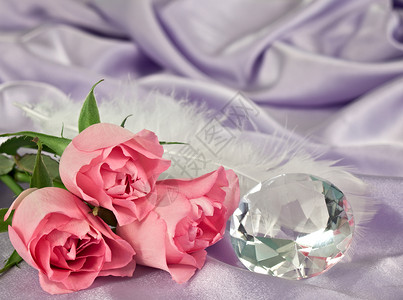 玫瑰和钻石羽毛背景图片