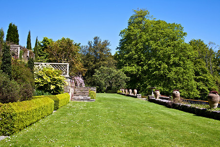 英语花园花朵绿色骨灰盒蓝天灌木脚步树木背景图片