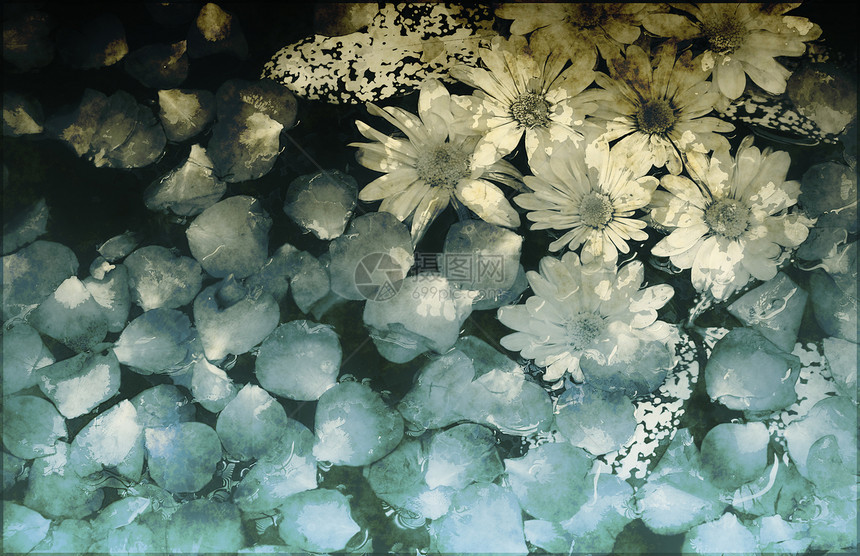 简要背景花朵风化藤蔓夹子插图滚动墙纸创造力植物古董图片