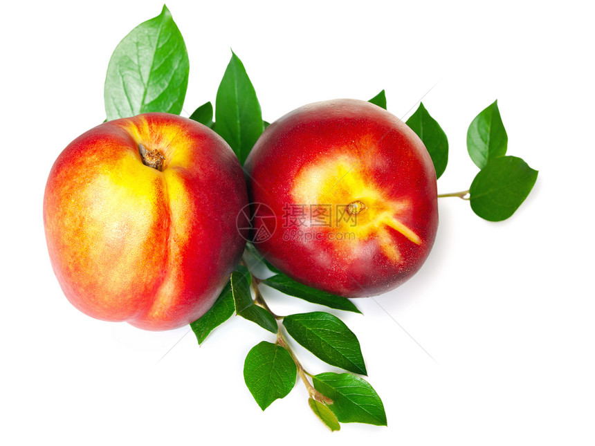 水果果红色市场油桃小吃热带桃子食物白色农业叶子图片