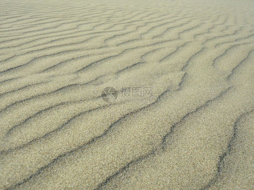 沙丘风暴海滩图片