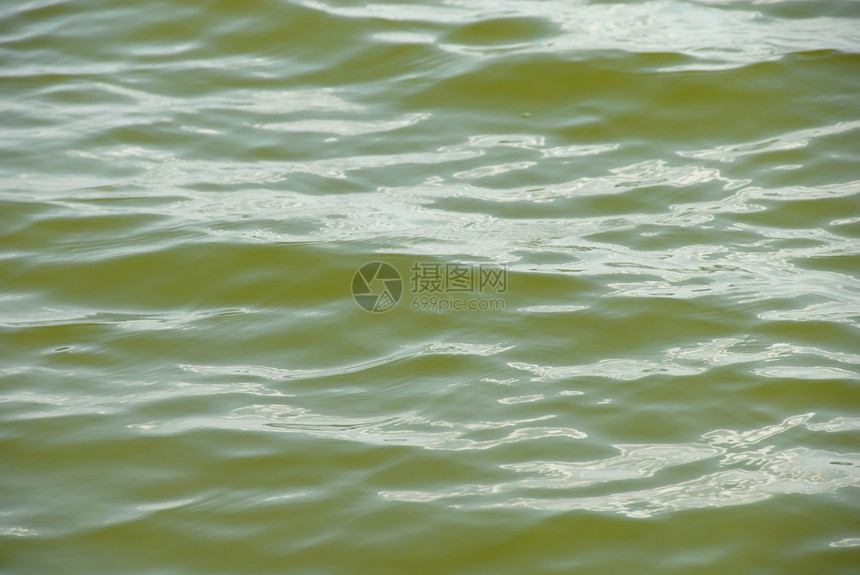 绿色水面海浪环境淡黄色生态微风池塘水池墙纸图片