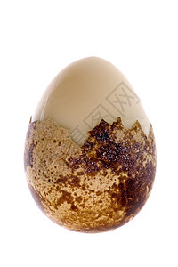核黄素Quail 的鸡蛋孤立农场宏观鹌鹑美味早餐食物营养食品椭圆体雀斑背景