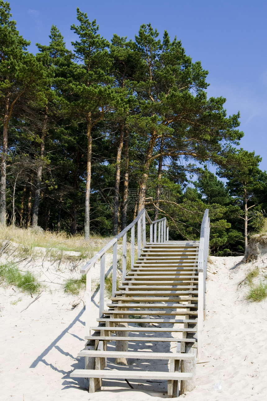 夏天沙滩的楼梯海洋天空假期地平线冲浪晴天沙丘松树脚步旅行图片