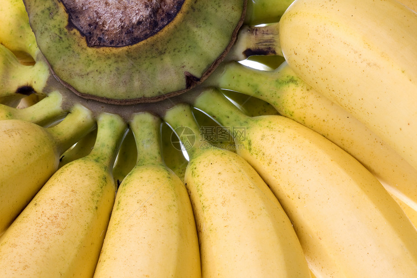 孤立的黄香蕉植物水果宏观食物饮食零食营养团体小吃市场图片