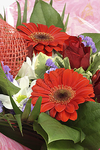 花束红色礼物周年花朵纪念日背景图片