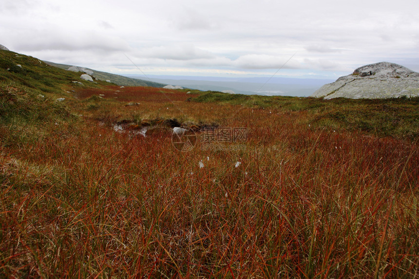 诺雷弗杰尔山中的沼泽苔原天空石头小路荒野岩石高原苔藓山脉高地图片