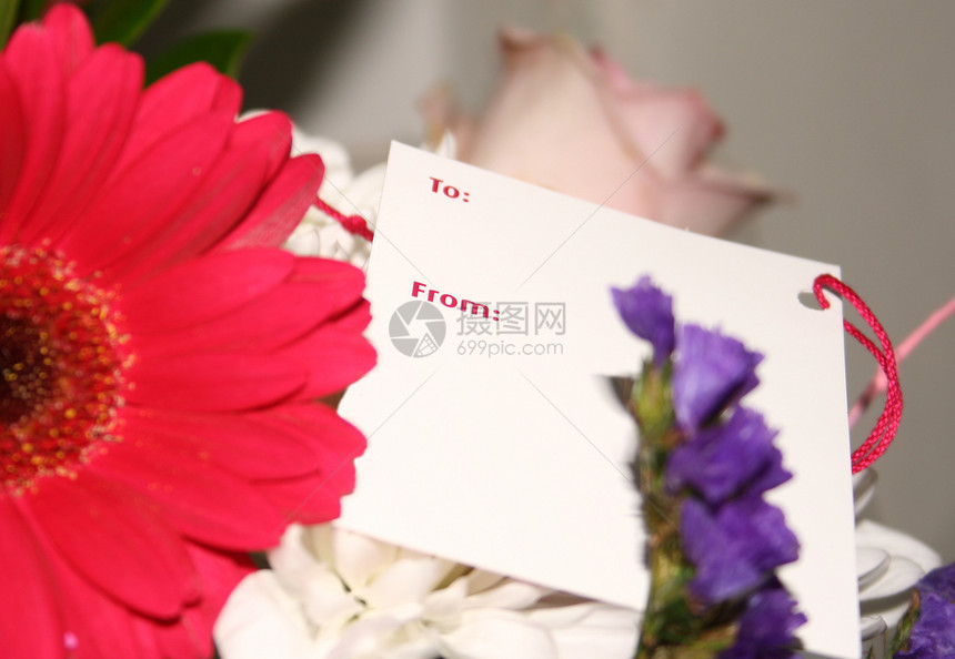 送花礼物花朵庆典婚礼花头问候约会纪念日周年花瓣情人图片
