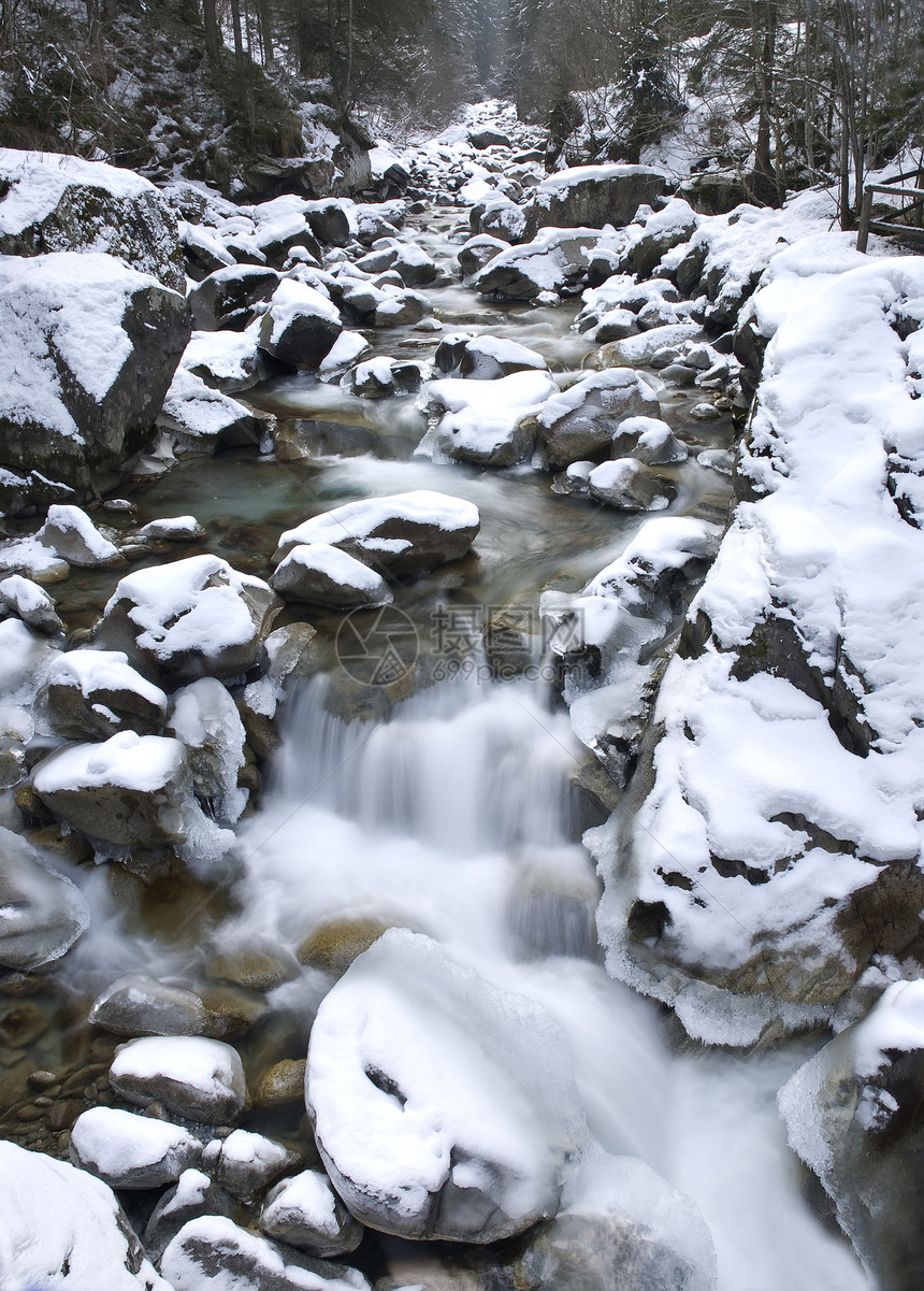 阿尔卑斯山谷的冬季全景场地岩石旅行季节天空滑雪顶峰松树高度荒野图片