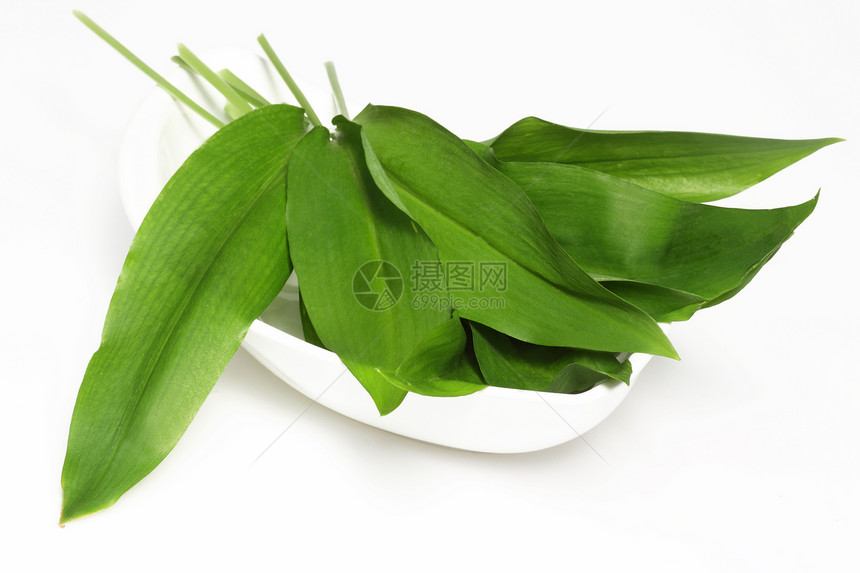 熊大蒜工作室健康蔬菜绿色草本香料白色草本植物食物叶子图片