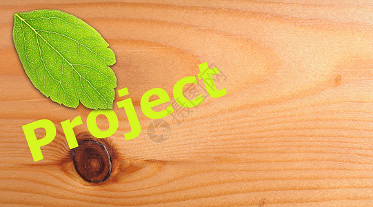 项目商业动机叶子生态背景图片