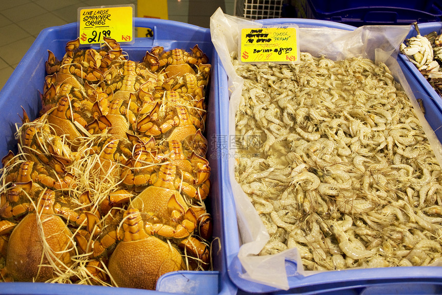 供出售的新鲜海产食品销售海洋扳手营养零售业海鲜零售螃蟹对虾食物图片