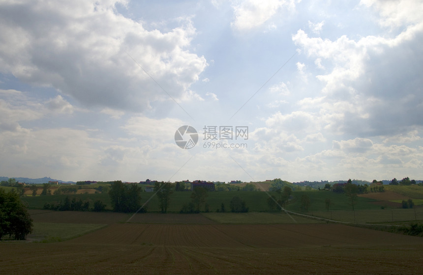 横向景观道路黄色树木灰色街道绿色衬套灌木丛国家农场图片