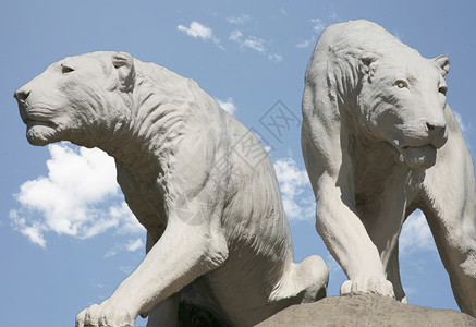 天空美丽的狮子座雕像背景图片