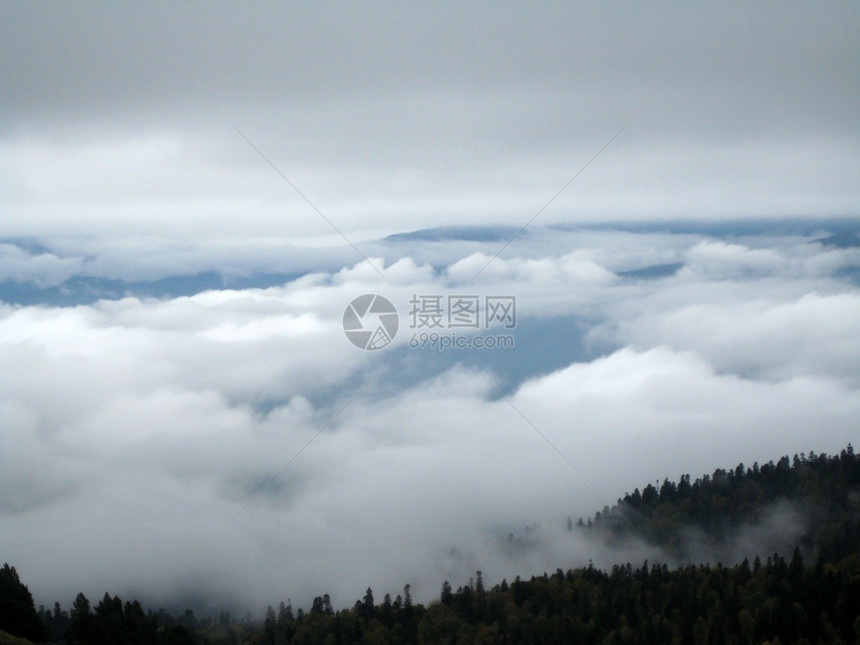 山;云 雾 木 树图片