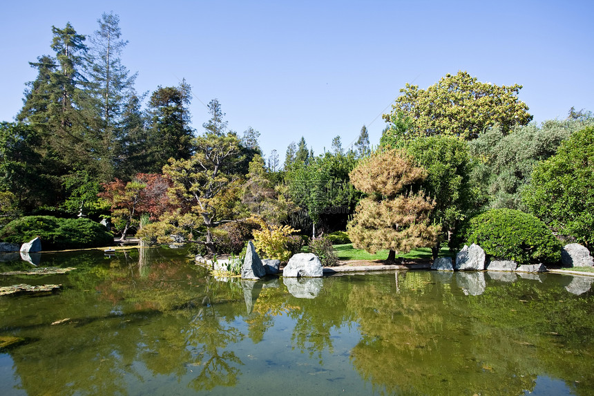 日本花园植物岩石花园公园风景池塘冥想叶子绿色美丽图片