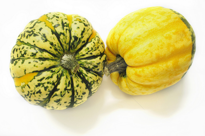 绿色和黄色装饰性壁球生产食物感恩南瓜收获蔬菜收成饮食季节营养图片