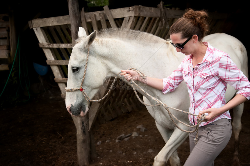 哥斯达黎加有马的旅游者哺乳动物女士女性绳索牧场马术动物眼睛旅游骑士图片