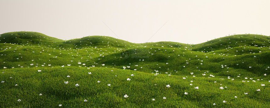 带白花的草地滚动绿色地平线植物土地天空环境计算机美化爬坡图片