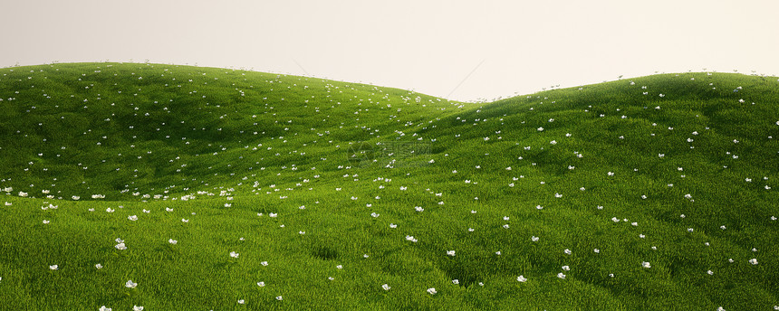 带白花的草地环境天空风景爬坡活力地平线天堂美化计算机白色图片