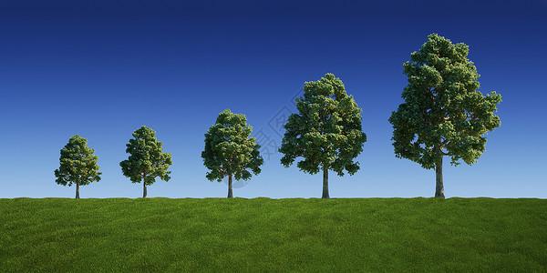 树形图植物绿色环境风景计算机草地土地天空美化季节背景