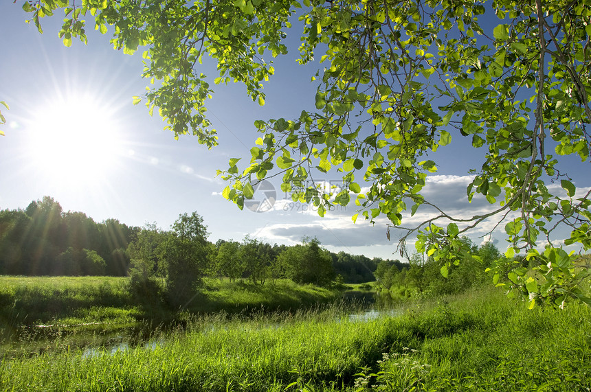 夏季风景与河流绿色叶子森林农村场地课程公园环境绿色植物生长图片