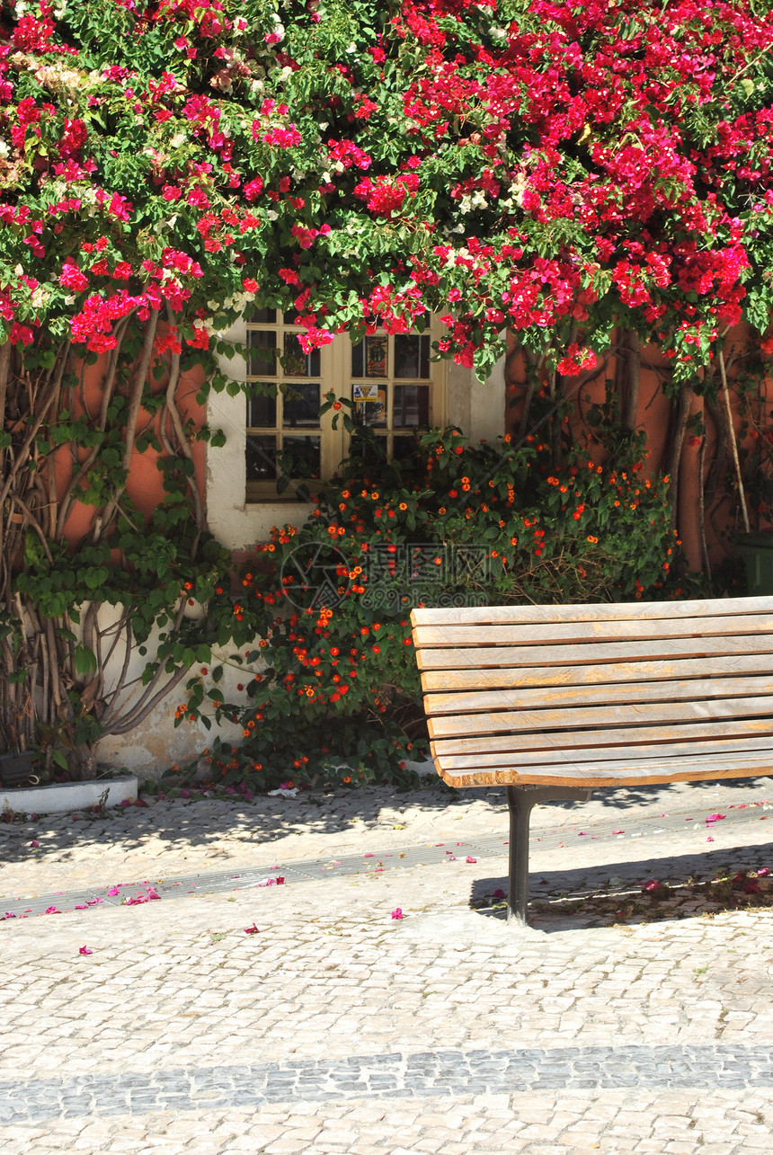 木板凳和典型的有紧挂花朵的窗户图片