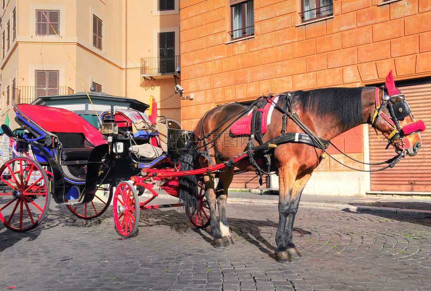 罗马市街头的马车图片