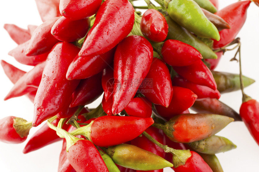 红胡椒美食蔬菜辣椒烧伤插图食物绿色红色香料图片