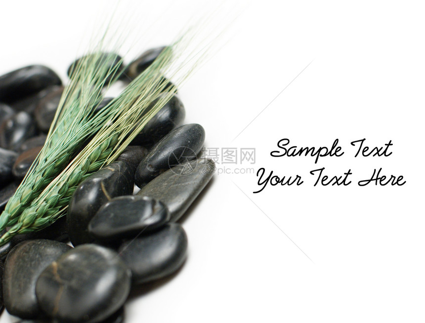 Spa 显示护理洗澡石头小麦奢华美丽治疗皮肤岩石福利图片