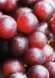新鲜葡萄果水果营养背景图片