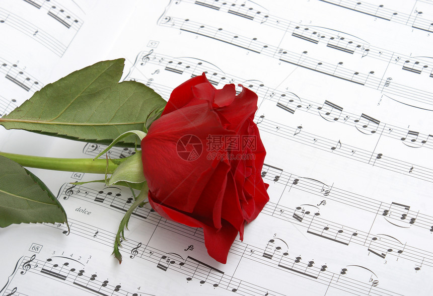 我爱音乐钢琴歌曲浪漫礼物速度音乐家概念笔记叶子红色图片