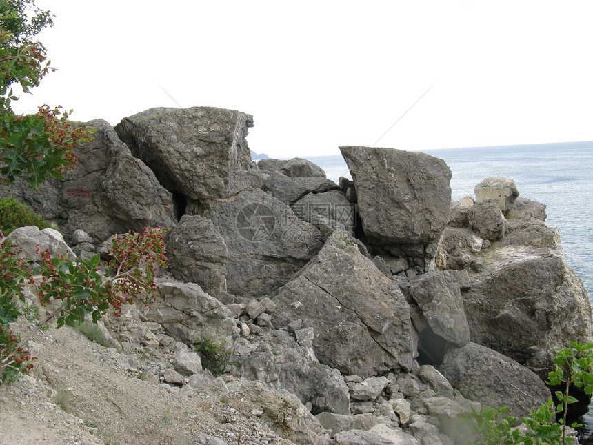 大自然和海洋场景海岸线植物阳光自由溪流生活苔藓森林环境图片