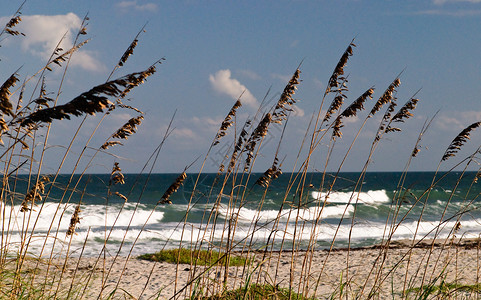 海滩钓鱼镜子晴天曲线沙丘天空海浪场景背景图片