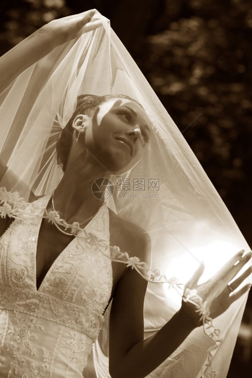 美丽的新娘钻石面纱生活婚礼女士女孩已婚项链图片