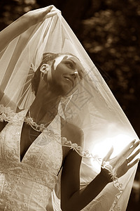 美丽的新娘钻石面纱生活婚礼女士女孩已婚项链背景图片
