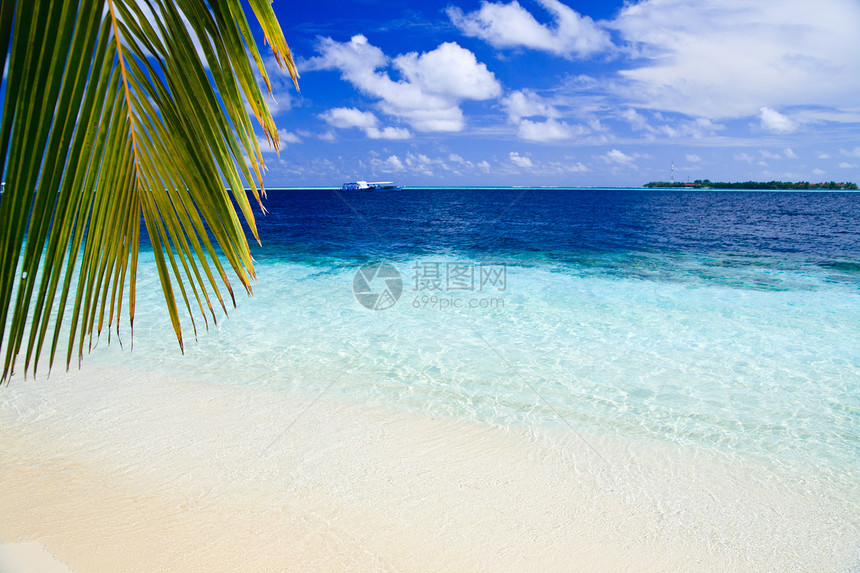 马尔代夫的热带天堂气候海岸线天空旅游阳光海景棕榈蓝色游泳植物图片