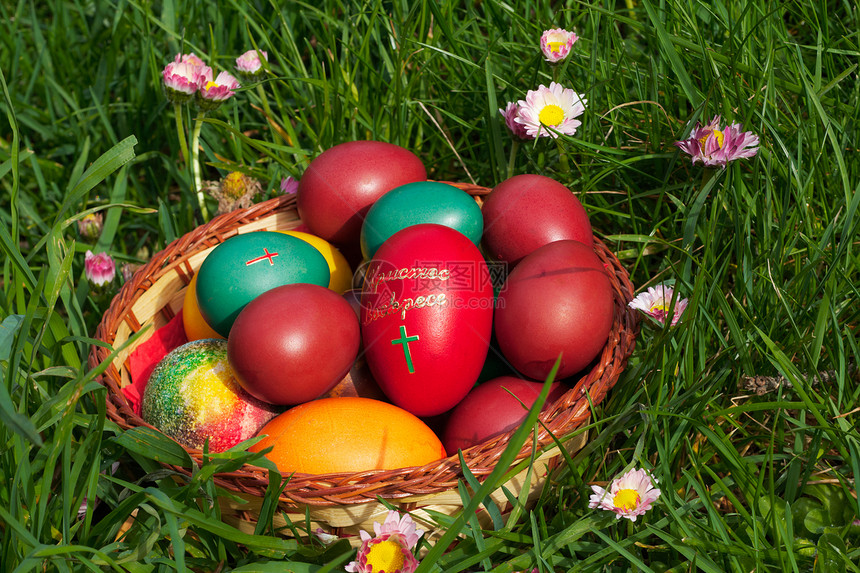 青草和花朵中多彩的复活节鸡蛋图片