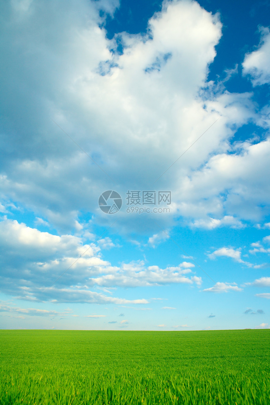 绿草和多云的蓝色天空图片