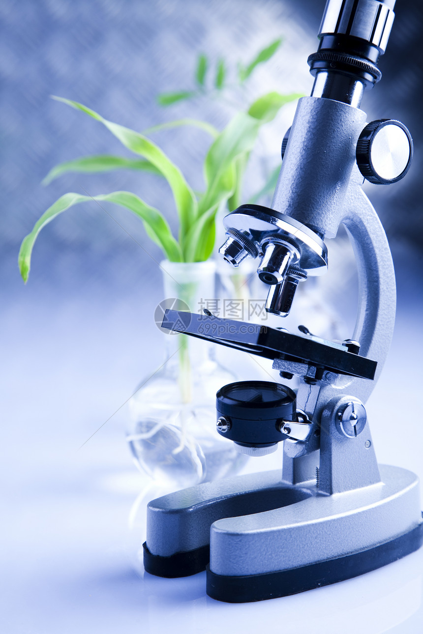 显微镜植物群技术生长微生物学吸管玻璃蓝色植物生态实验图片
