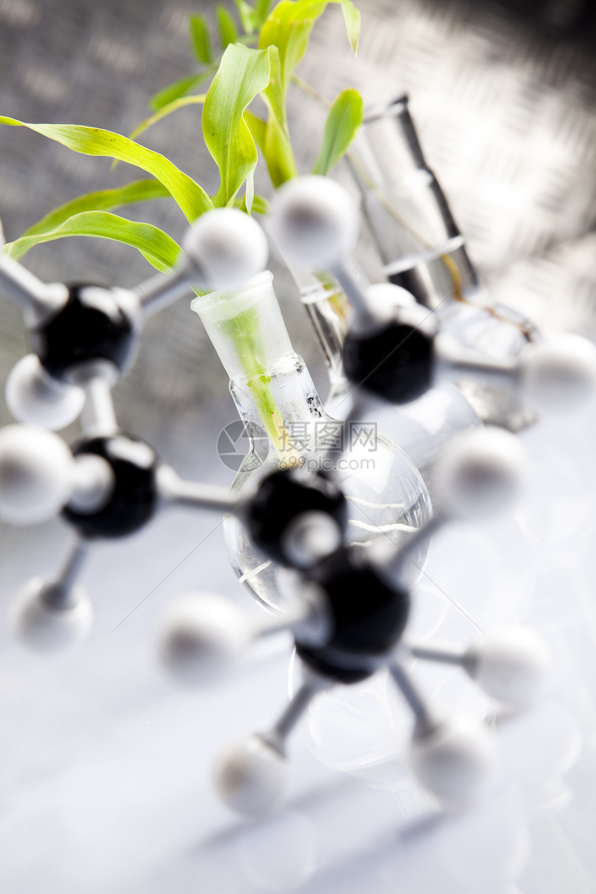 Dna 结构药品实验玻璃生长化学蓝色工程植物生态生物学图片