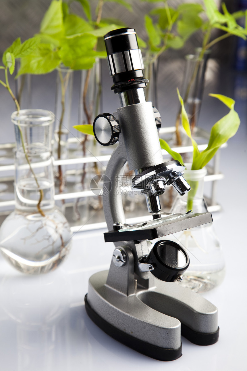 显微镜生物测试生物学药品玻璃杂草生态生长管子技术图片