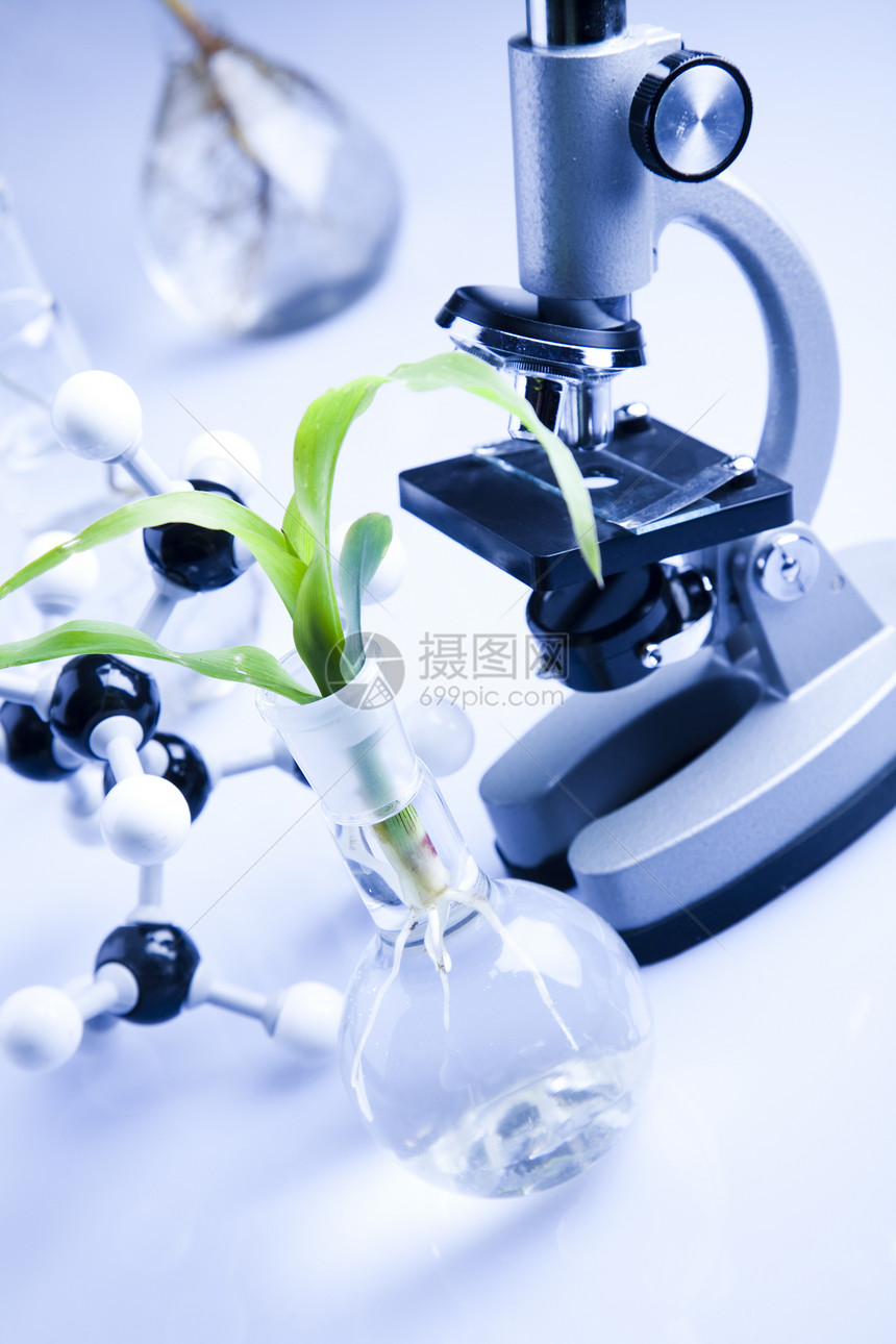 生态实验室生物管子工程药品学习杂草玻璃蓝色植物群化学品图片