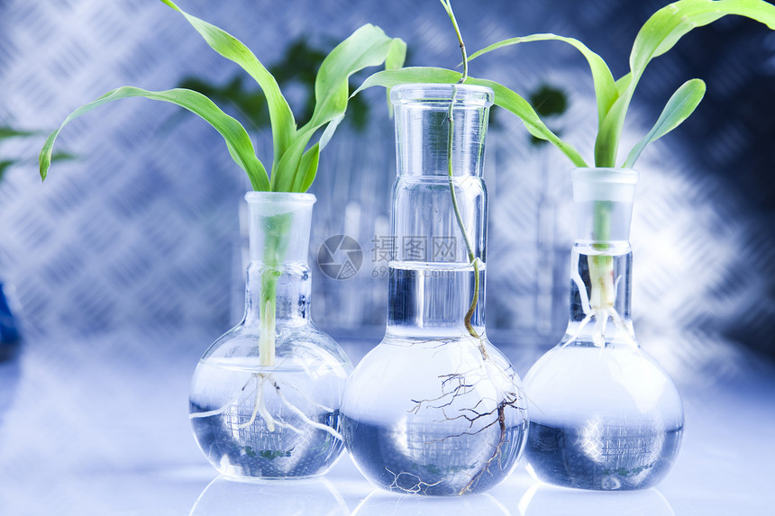 工厂和实验室叶子生态玻璃测试生物工程生长杂草技术实验图片