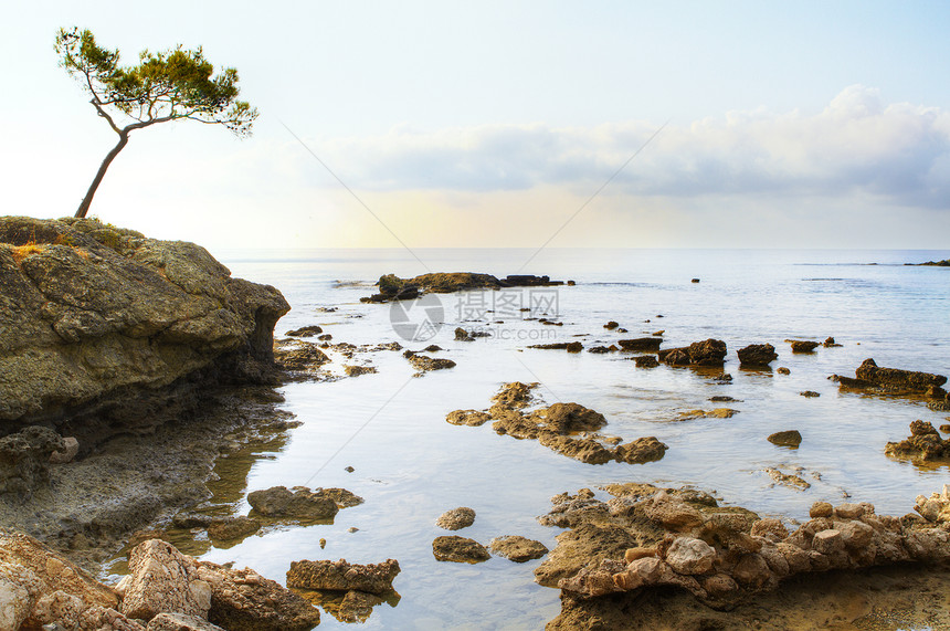 和树海热带蓝色假期天堂海浪海岸线游客气候阳光海洋图片