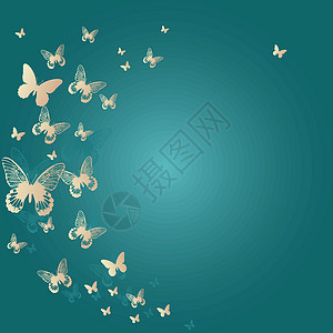 色彩多彩的蝴蝶背景 矢量说明插图生长框架电脑叶子装饰品金子曲线季节昆虫背景图片