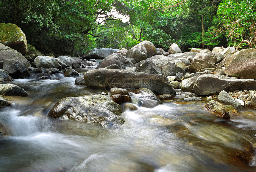 森林中的新鲜溪流瀑布石头公园太阳环境流动叶子风景墙纸热带图片